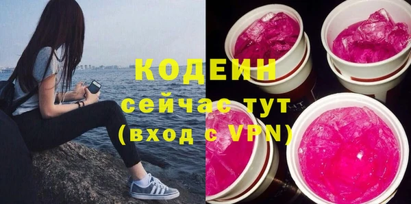 гидра Заводоуковск