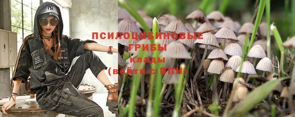 амф Абдулино