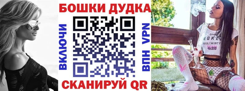 сколько стоит Новопавловск Бошки марихуана сатива